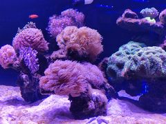 -海合安武汉极地海洋公园