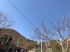-大岭沟猕猴桃谷风景区