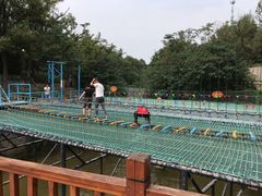 -淄博花灯齐彩城