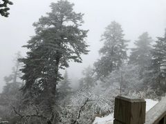 -西岭雪山大飞水景区
