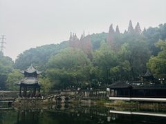 -忠山公园