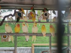 -瑞博尔花园酒店(太周创新产业园店)