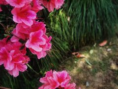 -浙江西子宾馆·瑶园咖啡厅