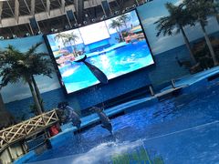 -海合安成都极地海洋公园