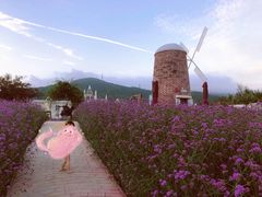 -玫瑰海岸文化旅游度假区