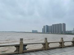 -观澳平台