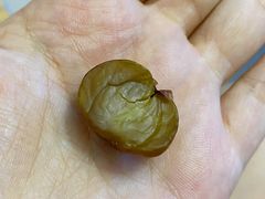 -粒上皇(市桥易发商业街店)