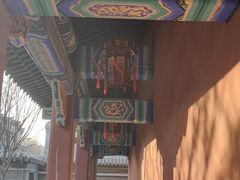 -莲池书院博物馆