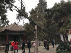 -南阳卧龙岗武侯祠