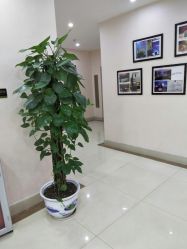 -东莞西妃整形美容医院