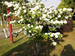 -白塘生态植物园