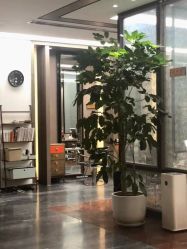 -扎嘎形象设计