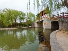 -洛阳市隋唐城遗址植物园