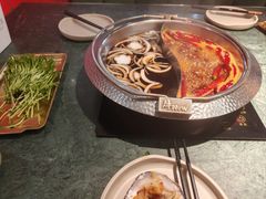 -牛New寿喜烧(金鹰世界店)