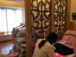 -成都苗方清颜专业祛痘