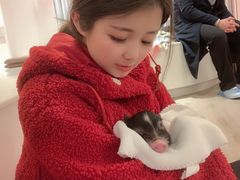 -浣熊柯尔鸭土拨鼠·电玩咖
