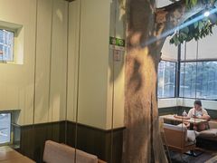 -仙踪林(惠润广场店)