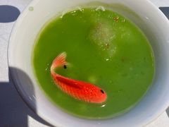-桂满陇·海市蜃楼·黑金(国金店)