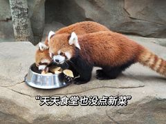 -北京野生动物园