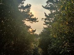 -狼山风景名胜区