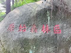 -尧山风景区