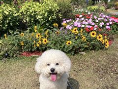 -东莞植物园