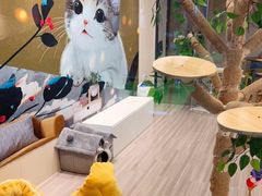 -嘉亿台球俱乐部(观前店)