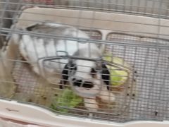 -烤五行·烧烤烤串(石佛营店)