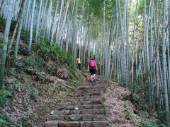 -五泄景区