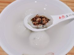 -海丝金凤(金鱼店)