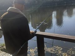-前关湿地公园