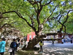 -青檀寺景区