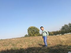 -汉景帝阳陵博物院
