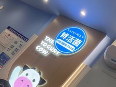 -一只酸奶牛(春熙路店)