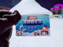 -沈阳奥体冰雪嘉年华