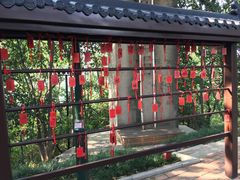 -龟山风景区-龟山电视塔