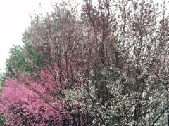 -螃蟹岬(地铁站)