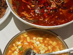 -大鸭梨烤鸭店(花园村店)
