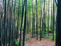 -径山寺