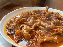 -红辣椒八爪鱼特色韩国料理