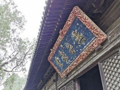 -大觉寺-停车场