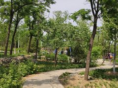 -阳台山自然风景区