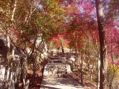 -崂山巨峰游览区
