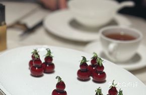 Latin Lande Gourd Goose Liver