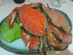 梭子蟹-威海渔村(静安旗舰店)