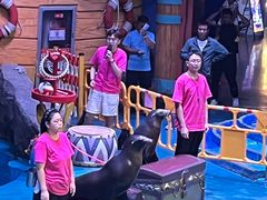 -烟台海昌鲸鲨海洋公园