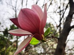 -国家植物园南园