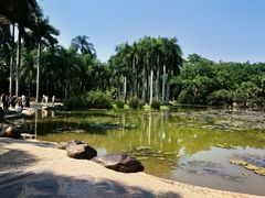 -中国科学院西双版纳热带植物园