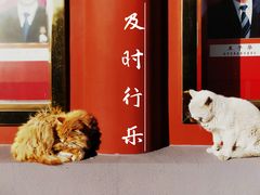 -北京市劳动人民文化宫(太庙)