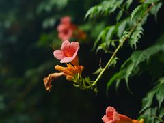 -斯多格书乡(北京大学畅春园店)